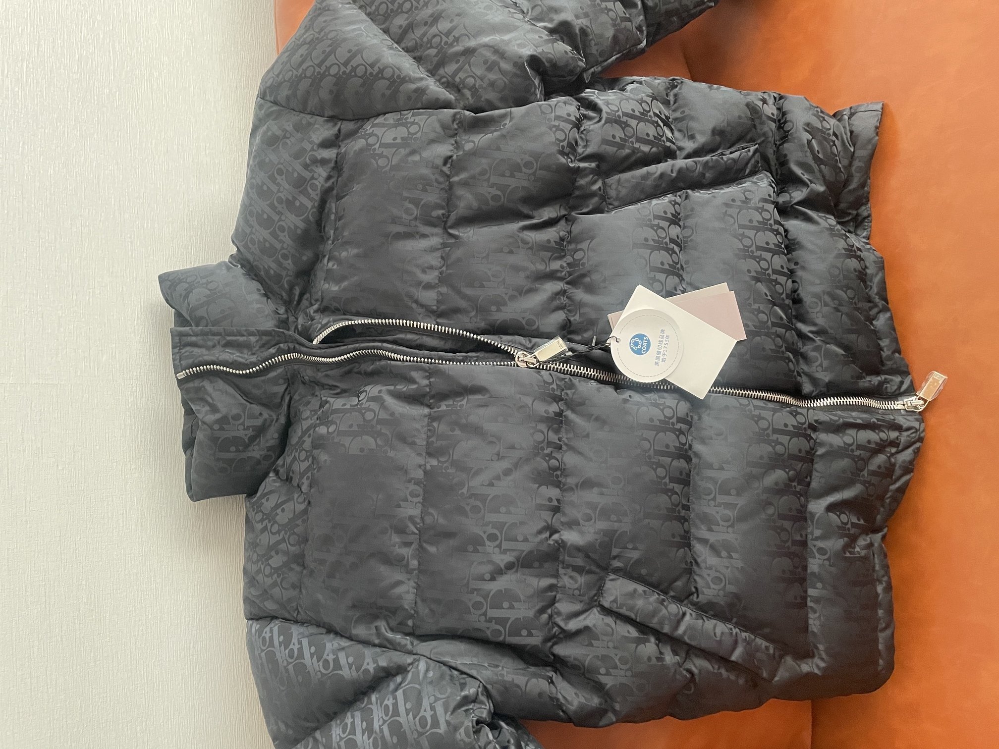 버전 2 디올 오블리크 패딩 자켓
