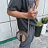 프라다 리나일론 폰케이스 크로스백